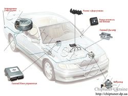 LPG system 4 generation
