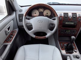 Профессиональное удаление катализатора Hyundai Terracan