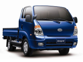 Профессиональное удаление сажевого фильтра Kia Bongo