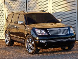 Профессиональное удаление катализатора Kia Borrego