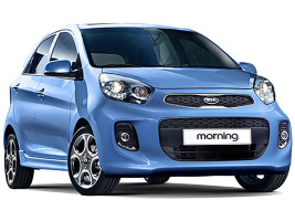 Профессиональное удаление сажевого фильтра Kia Morning