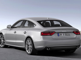 Профессиональное удаление катализатора Audi A5