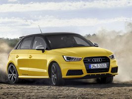 Профессиональное удаление катализатора Audi S1