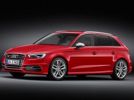 Профессиональное удаление катализатора Audi S3