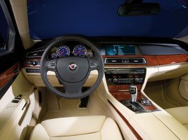 Профессиональное удаление сажевого фильтра BMW Alpina