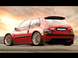Профессиональное удаление сажевого фильтра Citroen Saxo