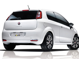 Профессиональное удаление сажевого фильтра Fiat Punto