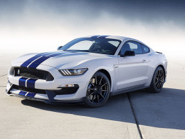 Профессиональное удаление катализатора Ford Mustang