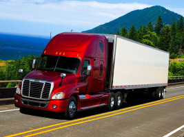 Профессиональное удаление сажевого фильтра Freightliner