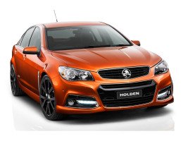 Профессиональное удаление катализатора Holden