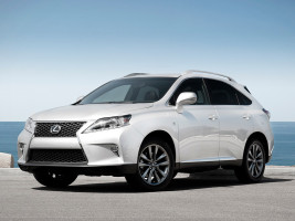 Профессиональное удаление катализатора Lexus RX