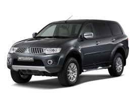 Профессиональное удаление сажевого фильтра Mitsubishi Pajero