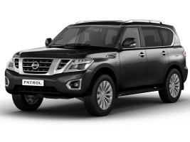Профессиональное удаление сажевого фильтра Nissan Patrol