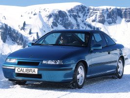 Профессиональное удаление катализатора Opel Calibra