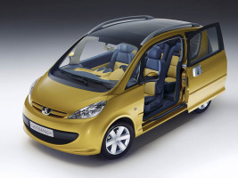 Профессиональное удаление катализатора Peugeot 1007