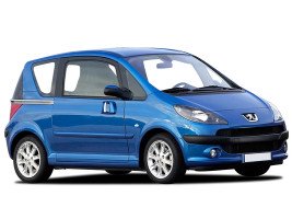 Профессиональное удаление сажевого фильтра Peugeot 1007