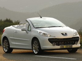 Профессиональное удаление сажевого фильтра Peugeot 207