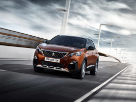 Профессиональное удаление сажевого фильтра Peugeot 3008