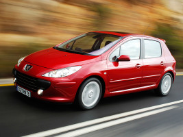 Профессиональное удаление сажевого фильтра Peugeot 307