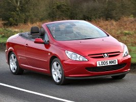 Профессиональное удаление катализатора Peugeot 307