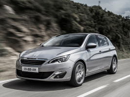 Профессиональное удаление катализатора Peugeot 308