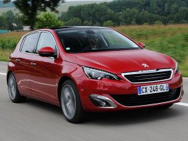 Профессиональное удаление сажевого фильтра Peugeot 308