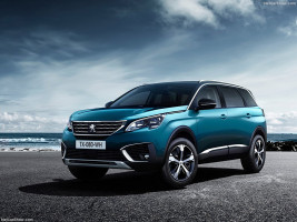 Профессиональное удаление сажевого фильтра Peugeot 5008