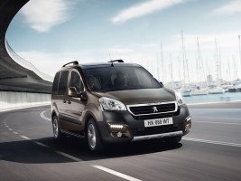 Профессиональное удаление катализатора Peugeot Bipper