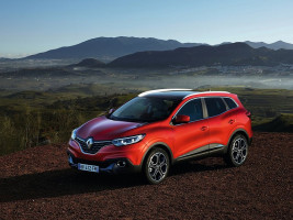 Профессиональное удаление сажевого фильтра Renault Kadjar