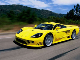 Профессиональное удаление катализатора Saleen S7