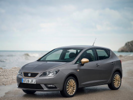 Профессиональное удаление сажевого фильтра Seat Ibiza