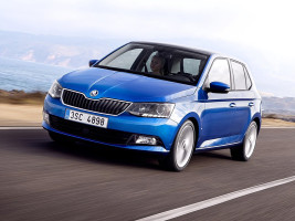 Профессиональное удаление сажевого фильтра Skoda Fabia