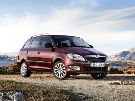 Профессиональное удаление катализатора Skoda Fabia