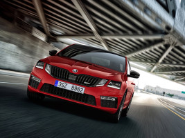 Профессиональное удаление сажевого фильтра Skoda Octavia