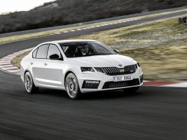Профессиональное удаление катализатора Skoda Octavia