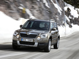 Профессиональное удаление катализатора Skoda Yeti