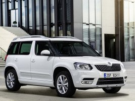 Профессиональное удаление сажевого фильтра Skoda Yeti