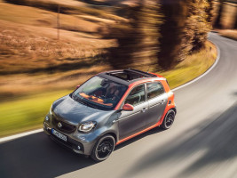 Профессиональное удаление сажевого фильтра Smart Forfour