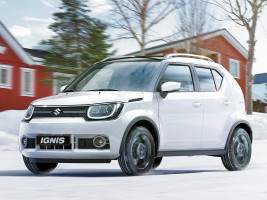 Профессиональное удаление сажевого фильтра Suzuki Ignis