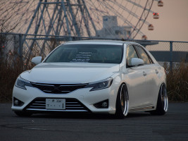 Профессиональное удаление катализатора Toyota Mark X
