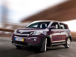Профессиональное удаление сажевого фильтра Toyota Urban Cruiser