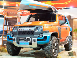 Профессиональный Чип тюнинг Troller T4