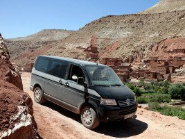 Профессиональное удаление катализатора Volkswagen Multivan