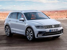 Профессиональное удаление сажевого фильтра Volkswagen Tiguan
