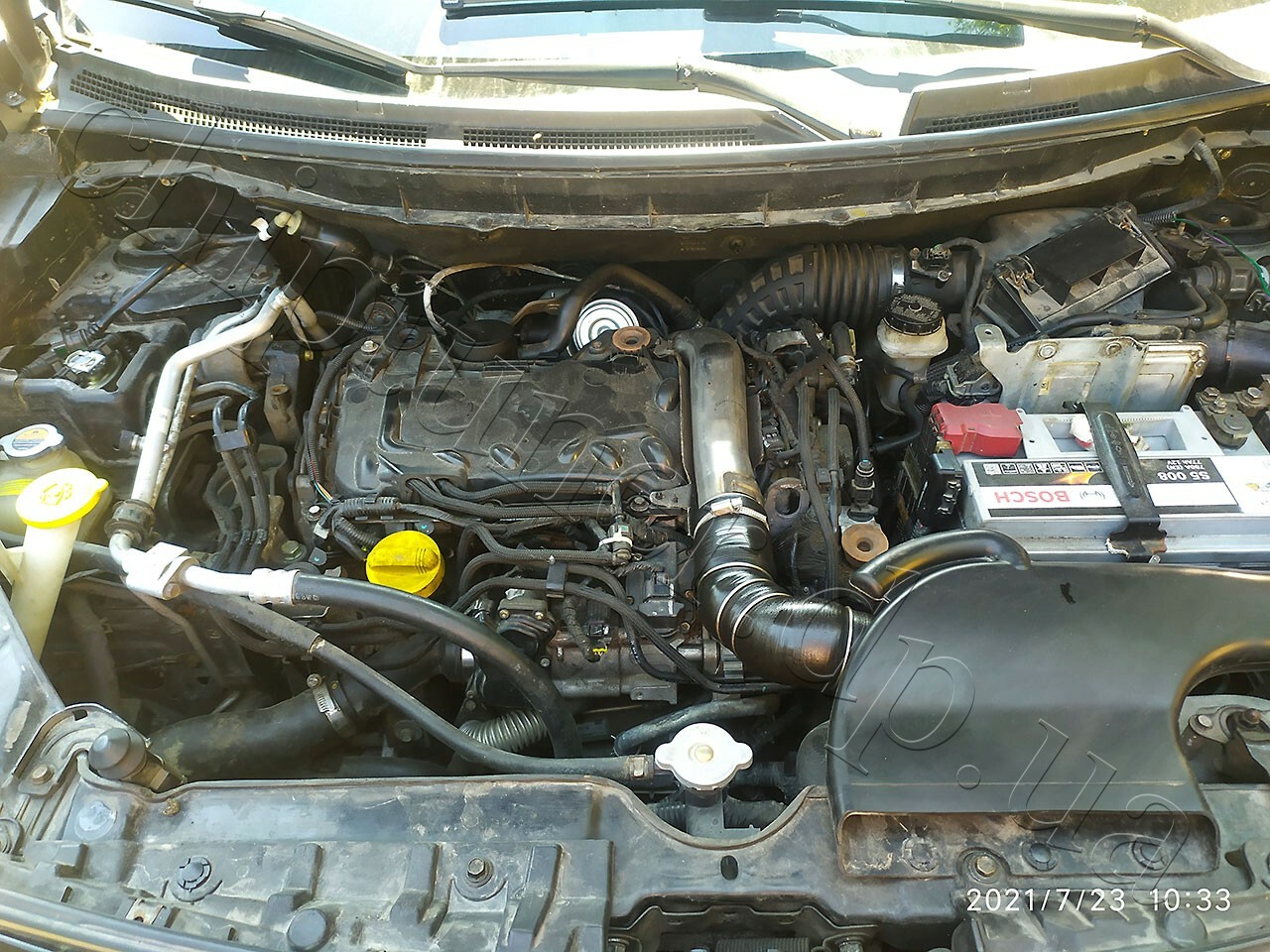 Chiptuning dpf egr off Renault Koleos 2013 year