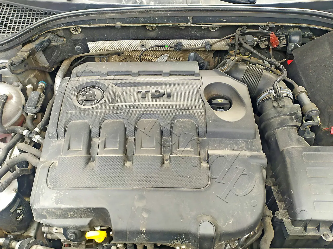Чип тюнинг двигателя Skoda Octavia
