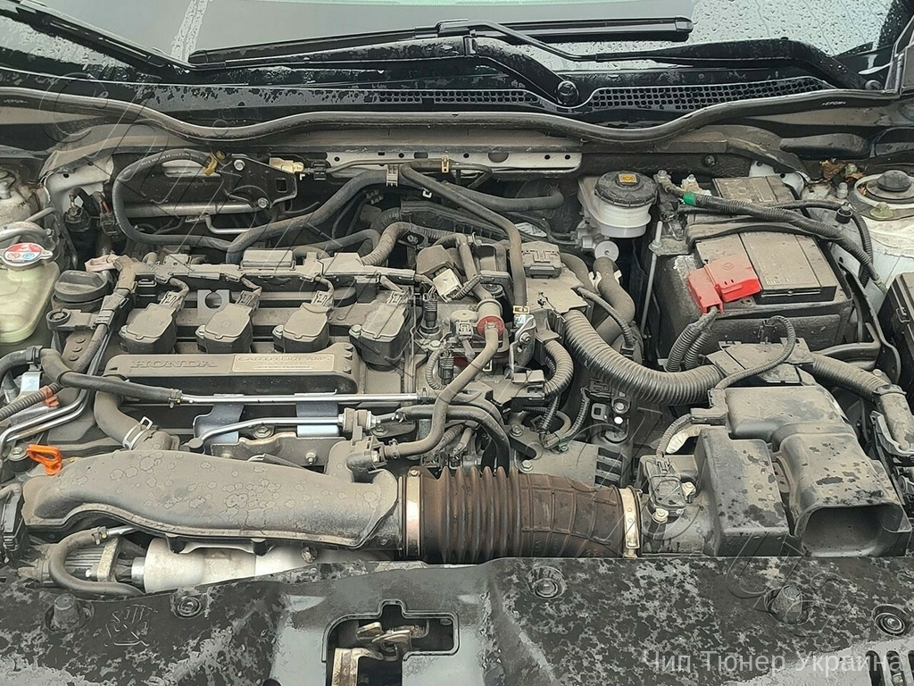Chiptuning Honda Civic egr catalist off 2019year