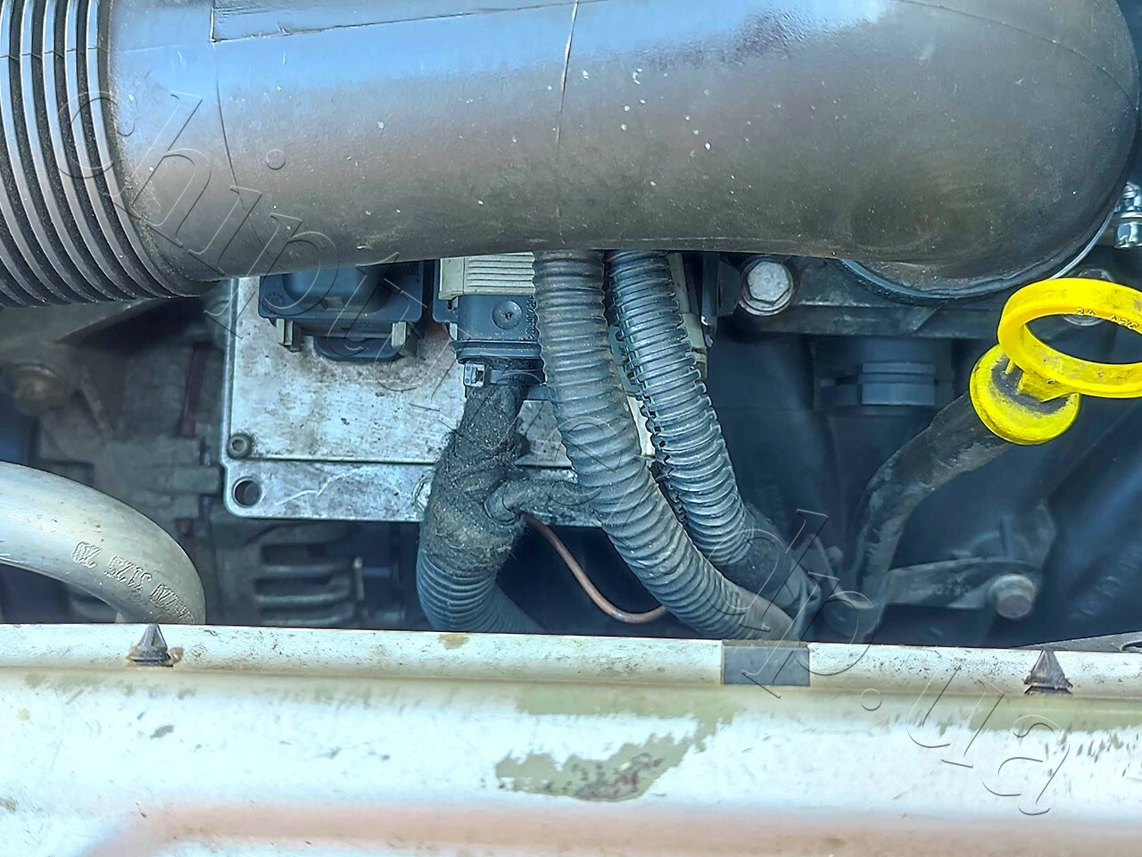 Chiptuning opel vectra egr catalist off 2004year