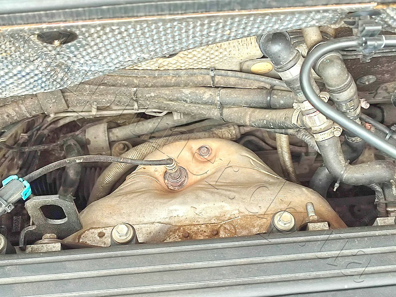 Chiptuning opel vectra egr catalist off 2007year
